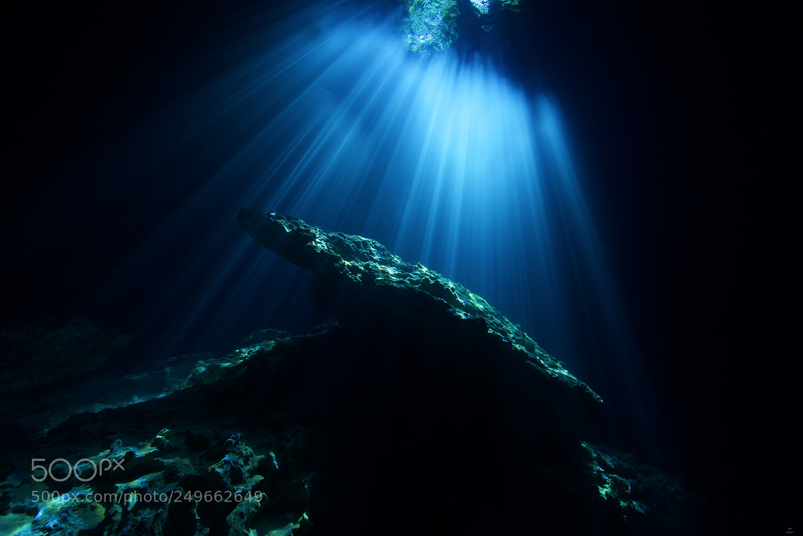 Nikon D810 sample photo. First time shooting underwater. photography