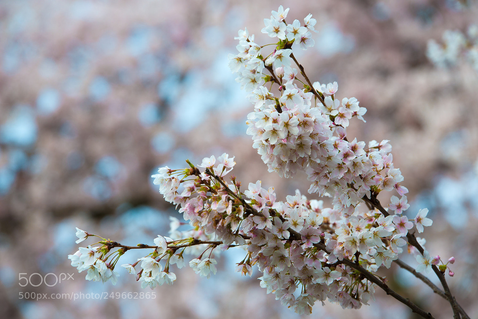 Nikon D800 sample photo. Untitled photography