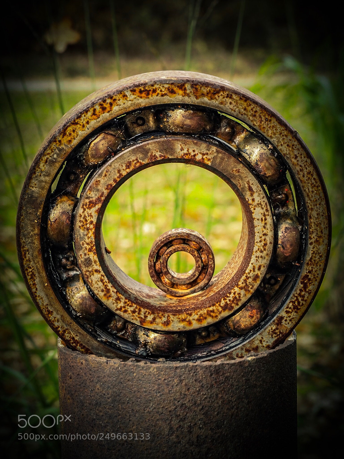 Olympus OM-D E-M1 Mark II sample photo. Rusty gearwheel photography