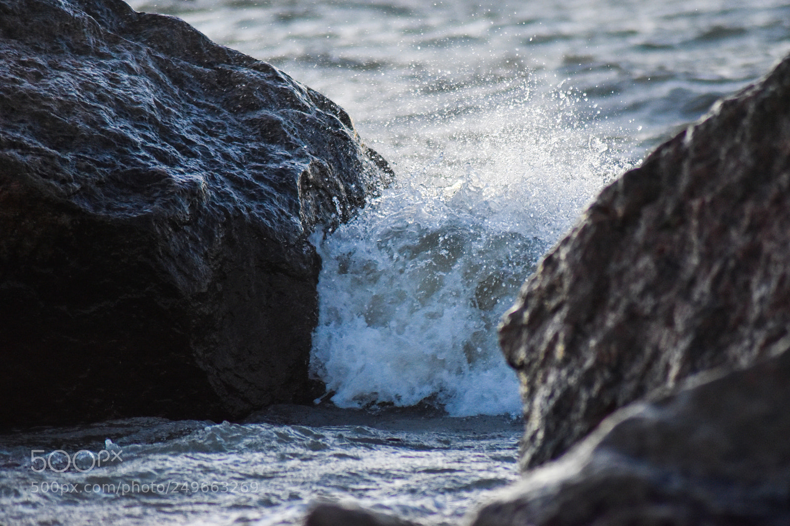Nikon D5500 sample photo. Untitled photography