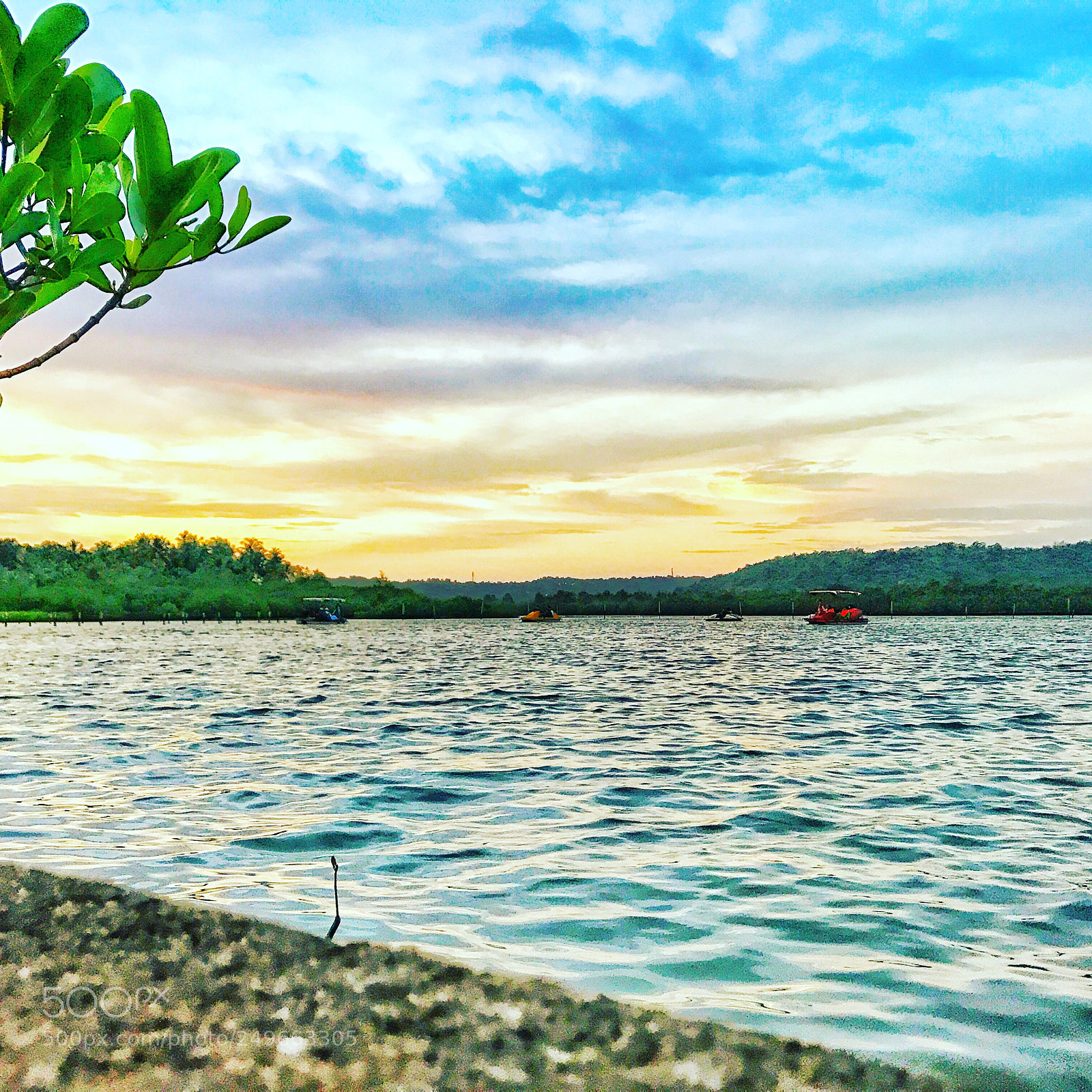 Apple iPhone 7 Plus sample photo. Kerala,india..mobil click photography