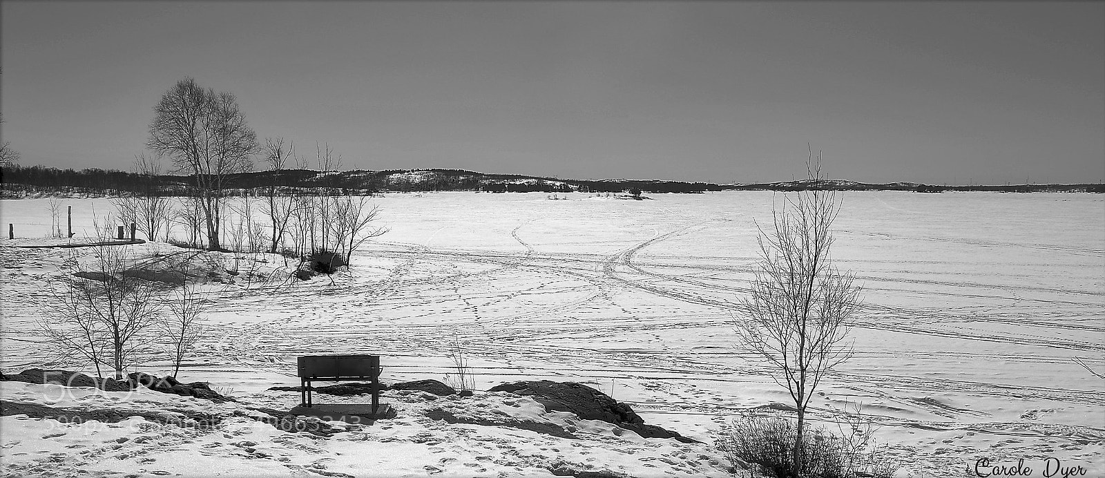 Nikon D5600 sample photo. The calmness of spring photography