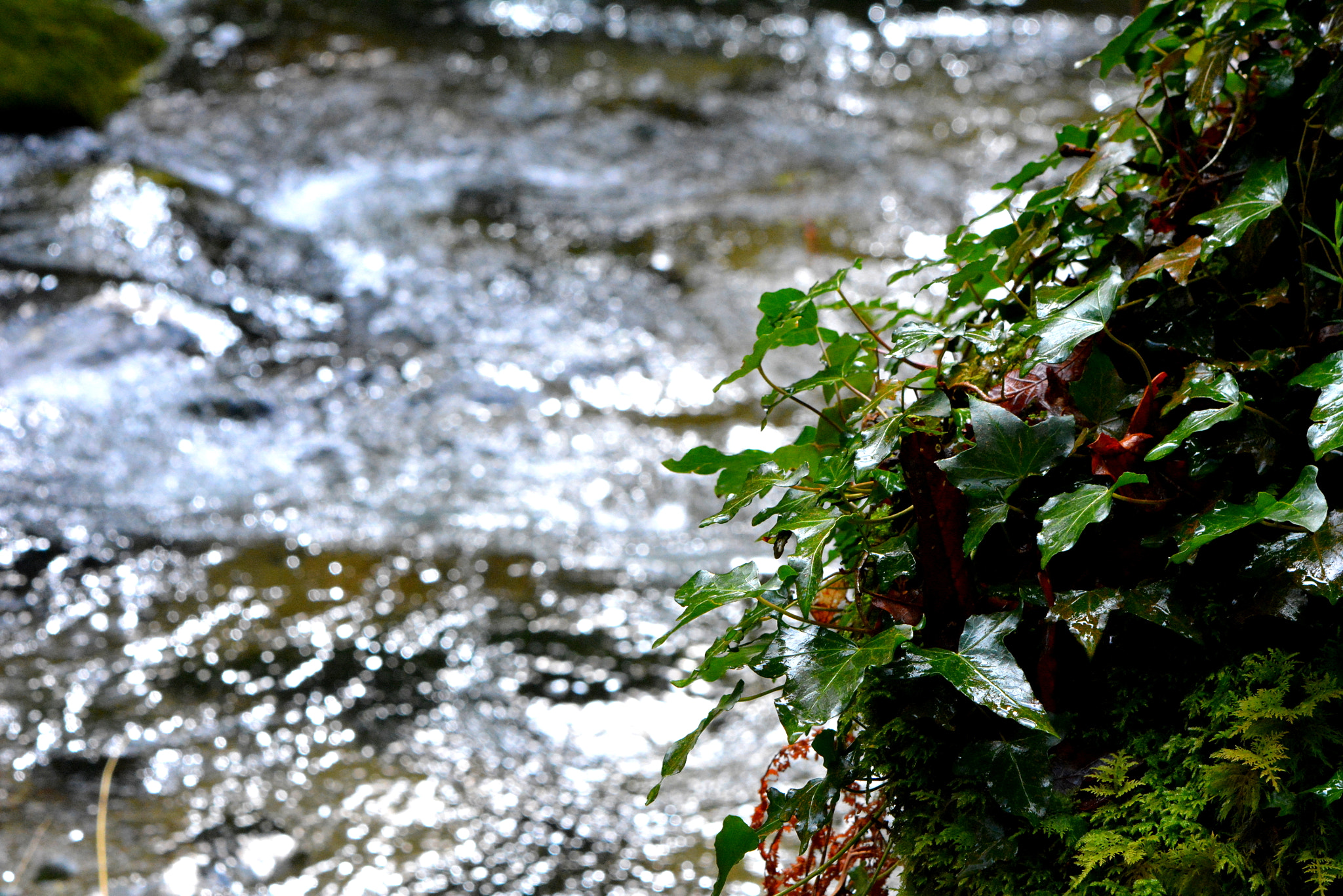 Sigma 70-200mm F2.8 EX DG OS HSM sample photo