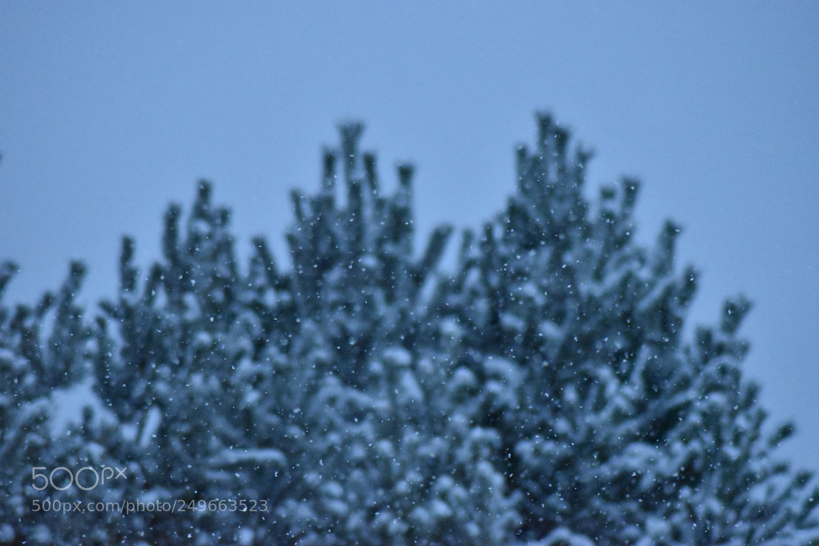 Nikon D5500 sample photo. Untitled photography