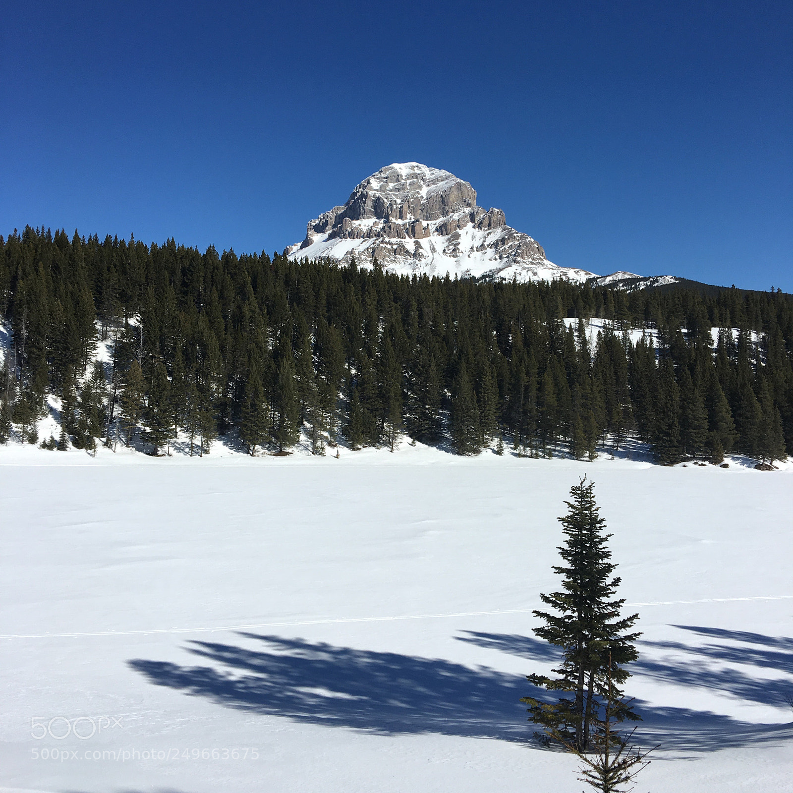 Apple iPhone 6s Plus sample photo. Winter at the lake photography