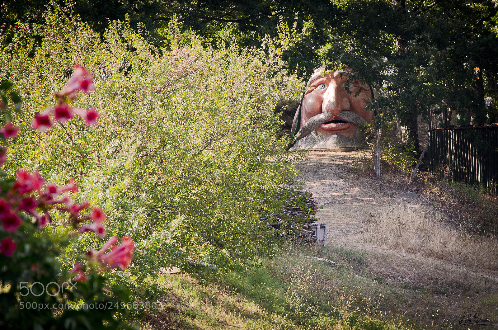 Nikon D5100 sample photo. Sul sentiero dello gnomo photography