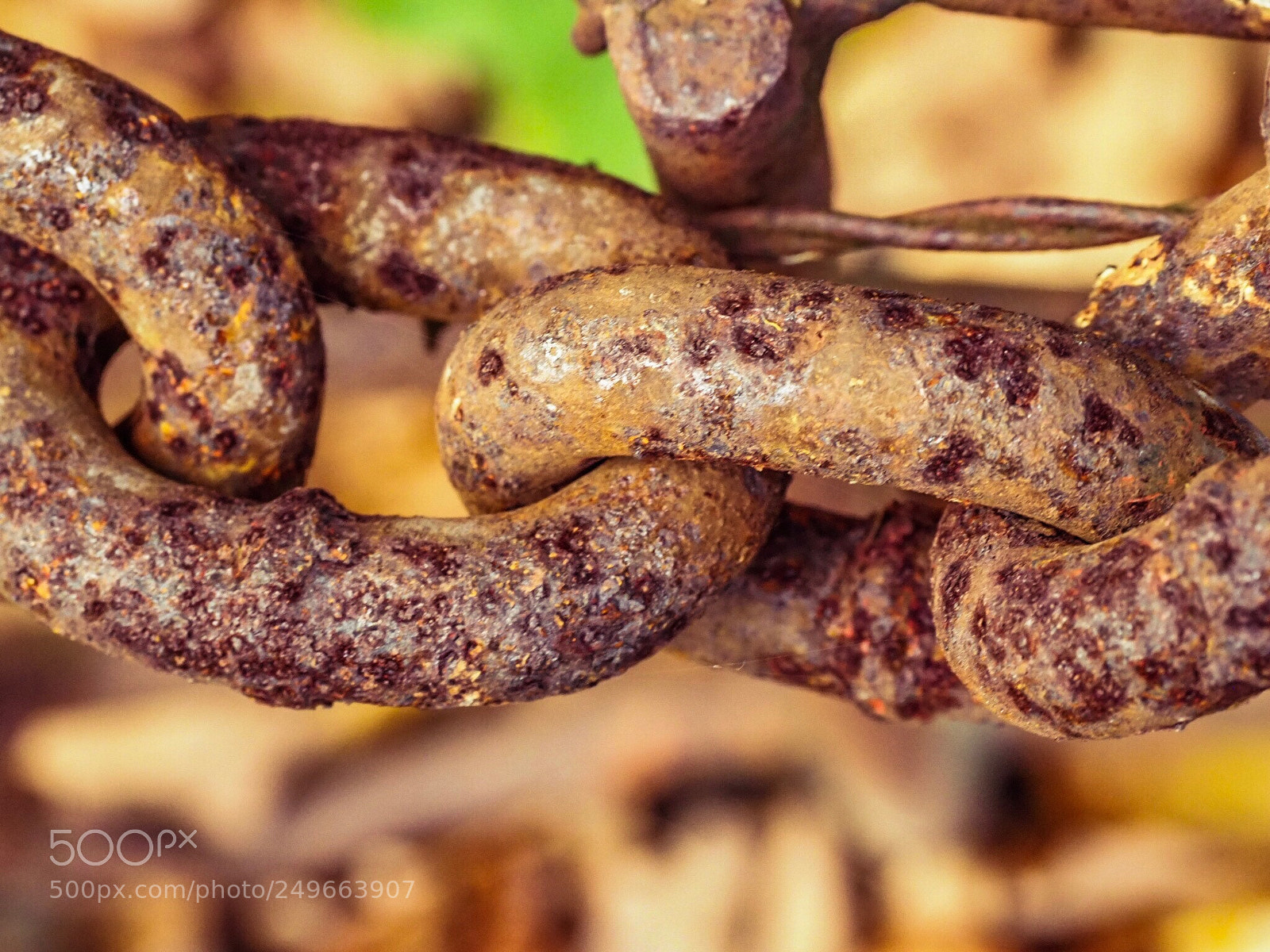 Olympus OM-D E-M1 Mark II sample photo. Rusty chain detail photography