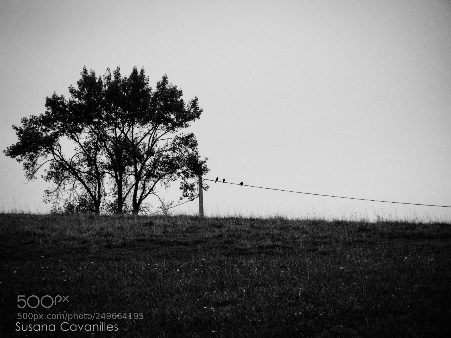 Canon PowerShot SX60 HS sample photo. Escena nostalgica photography