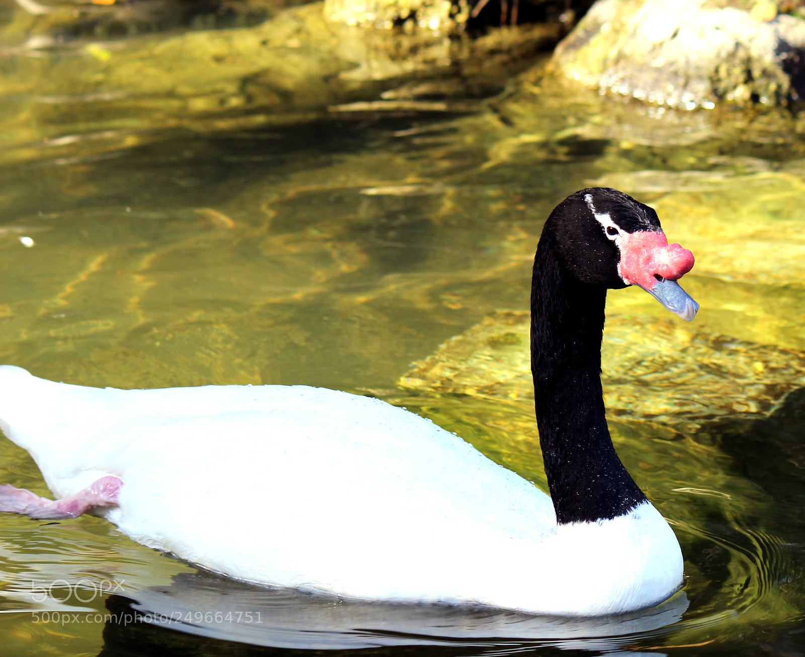 Canon EOS 600D (Rebel EOS T3i / EOS Kiss X5) sample photo. Img photography