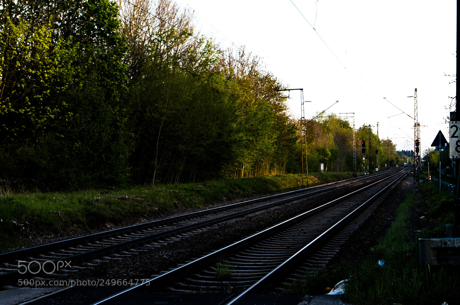 Sony SLT-A57 sample photo. Rails photography