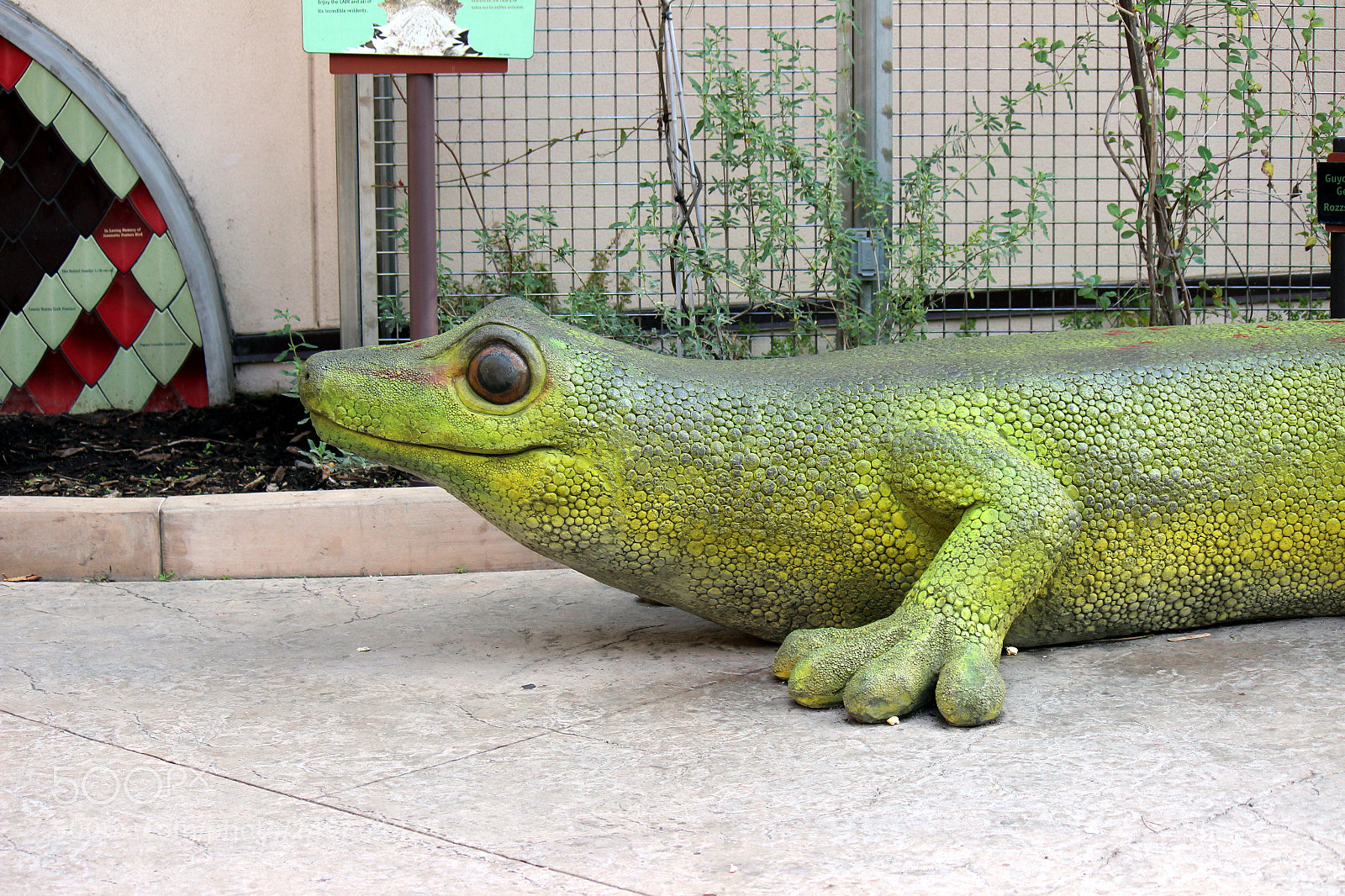 Canon EOS 600D (Rebel EOS T3i / EOS Kiss X5) sample photo. Img photography