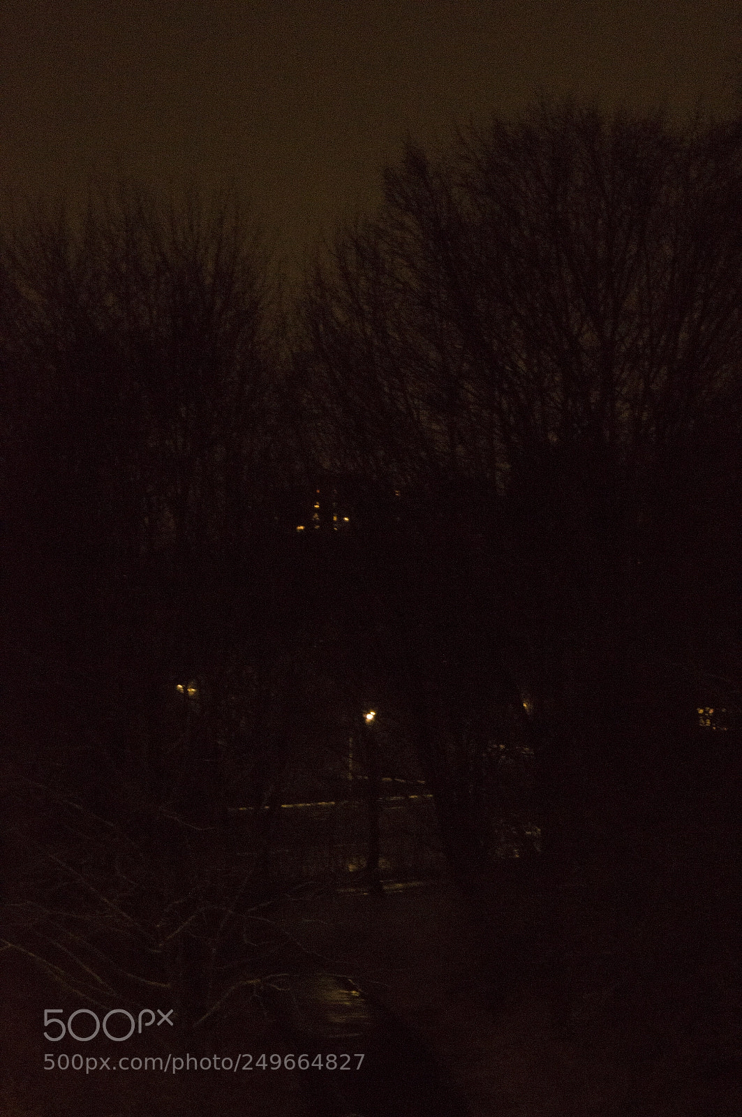 Sony SLT-A57 sample photo. Winter night photography