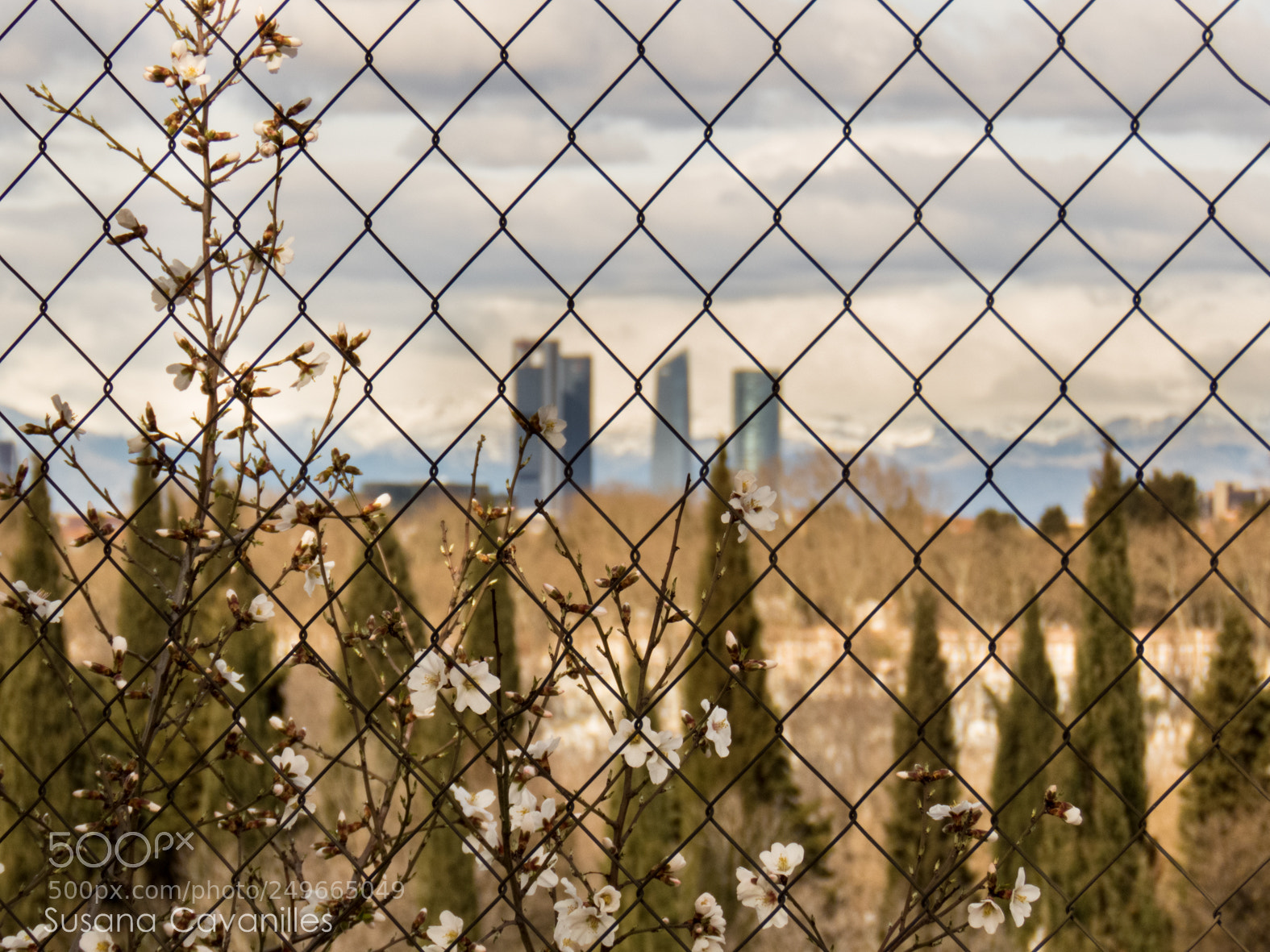Canon PowerShot SX60 HS sample photo. Skyline almendros photography