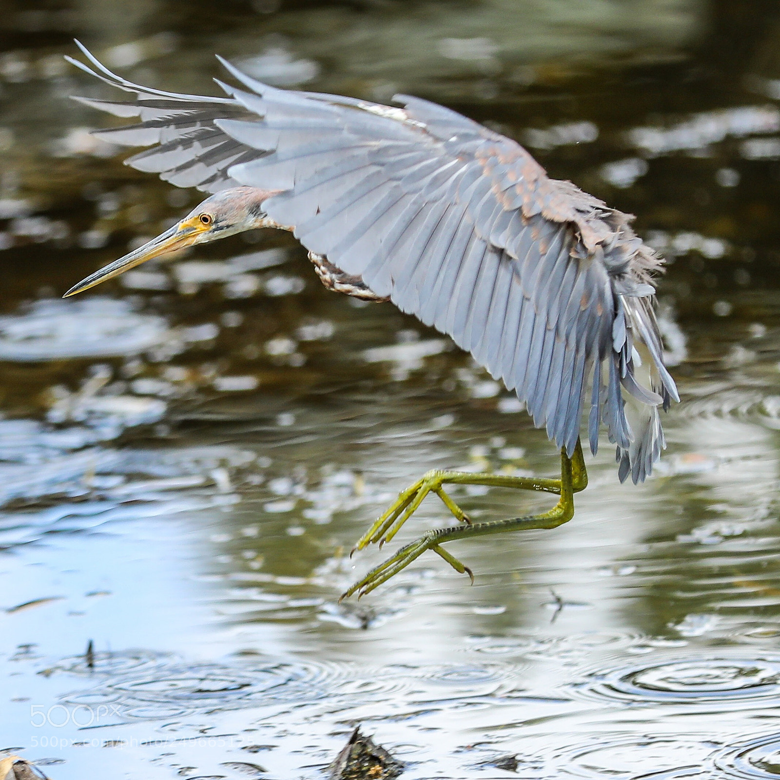 Canon EOS 5D Mark IV sample photo. Landing photography