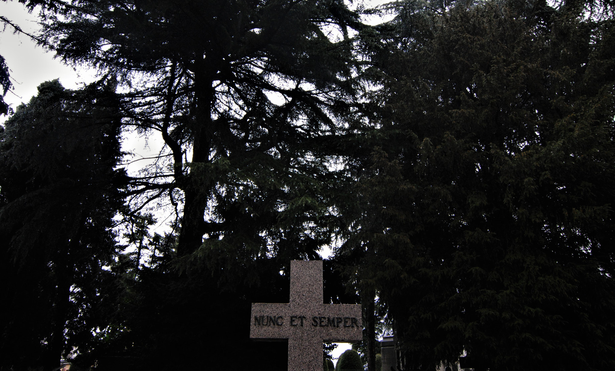 Nikon D3000 sample photo. Nunc et semper photography