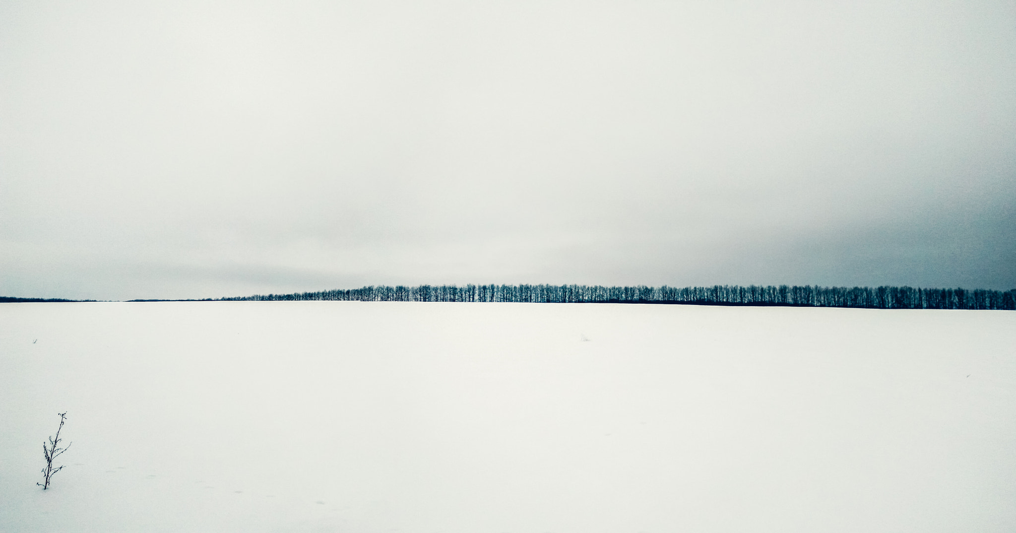 Xiaomi Redmi Note 3 sample photo. Endless winter photography