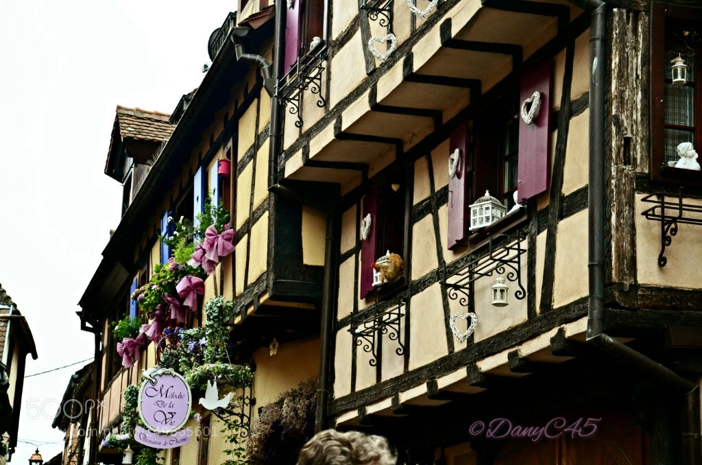 Nikon D5100 sample photo. Alsace (20) photography