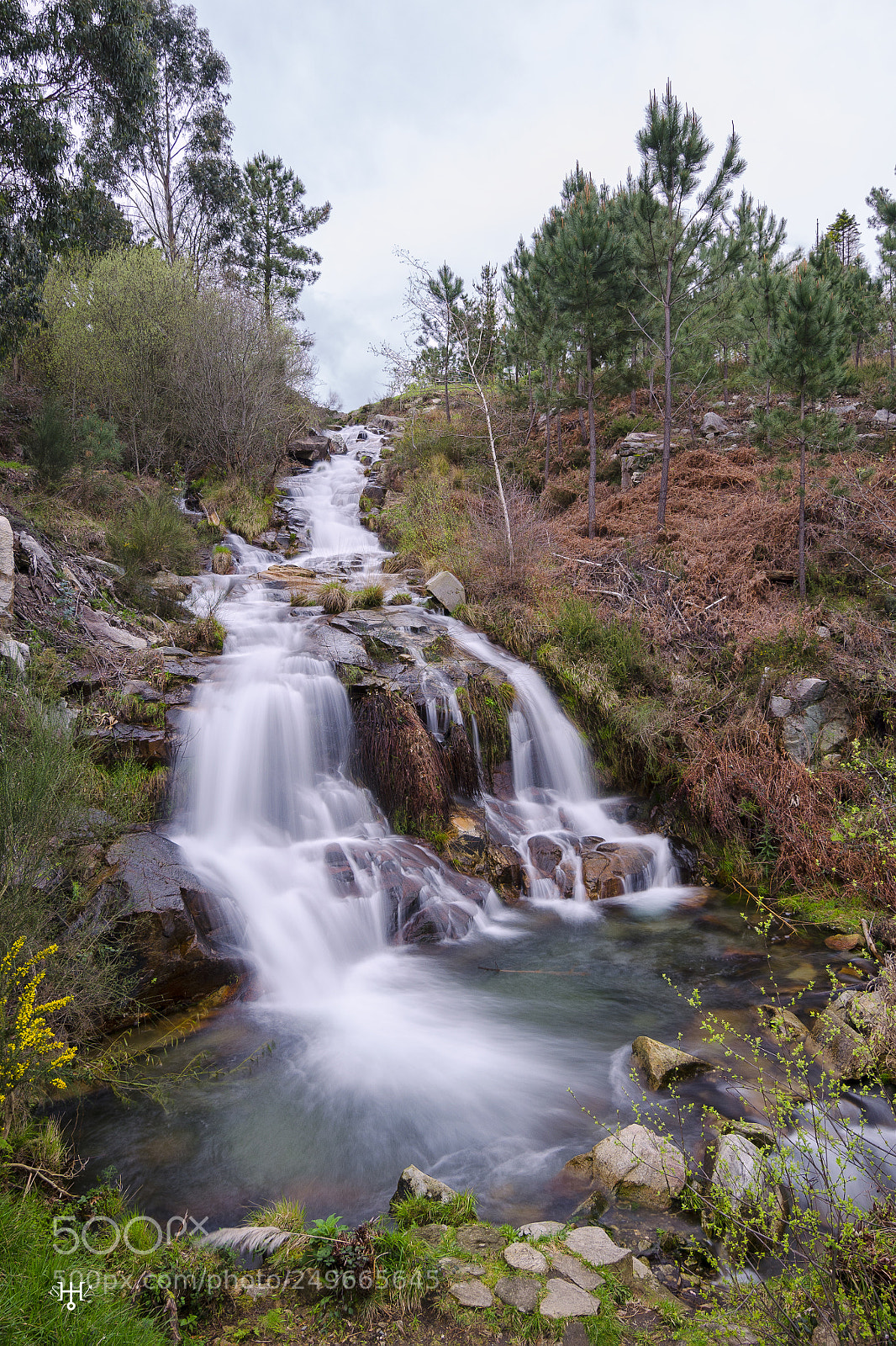 Nikon D5100 sample photo. Fervenza photography