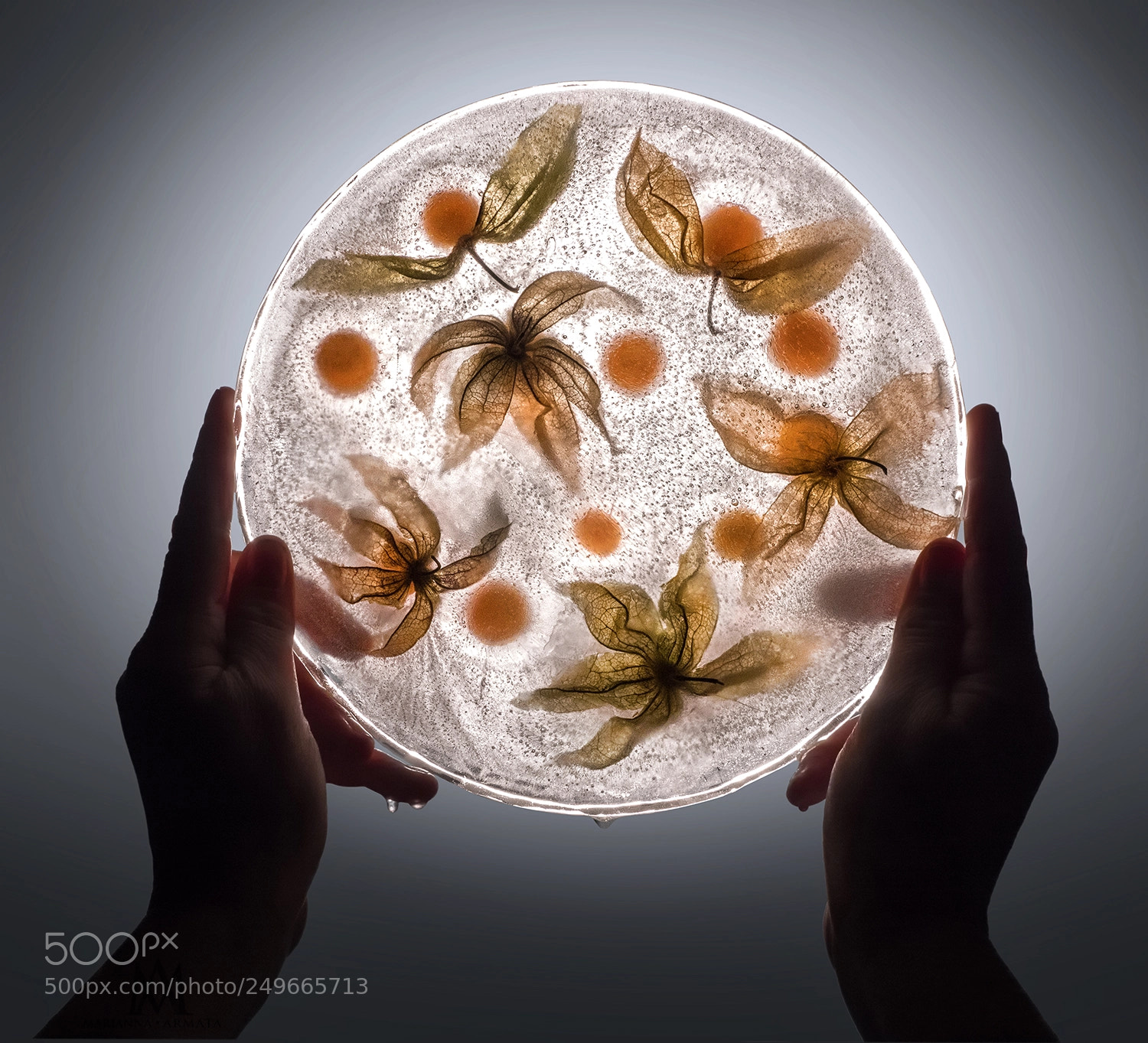 Panasonic Lumix DMC-GH4 sample photo. Ground cherries disc photography