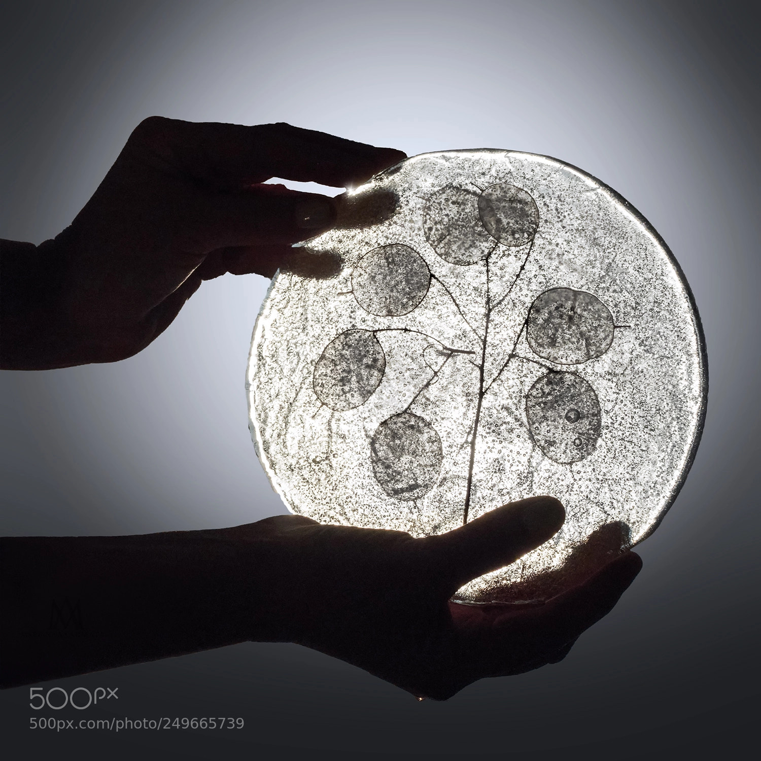 Panasonic Lumix DMC-GH4 sample photo. Silver dollars disc photography