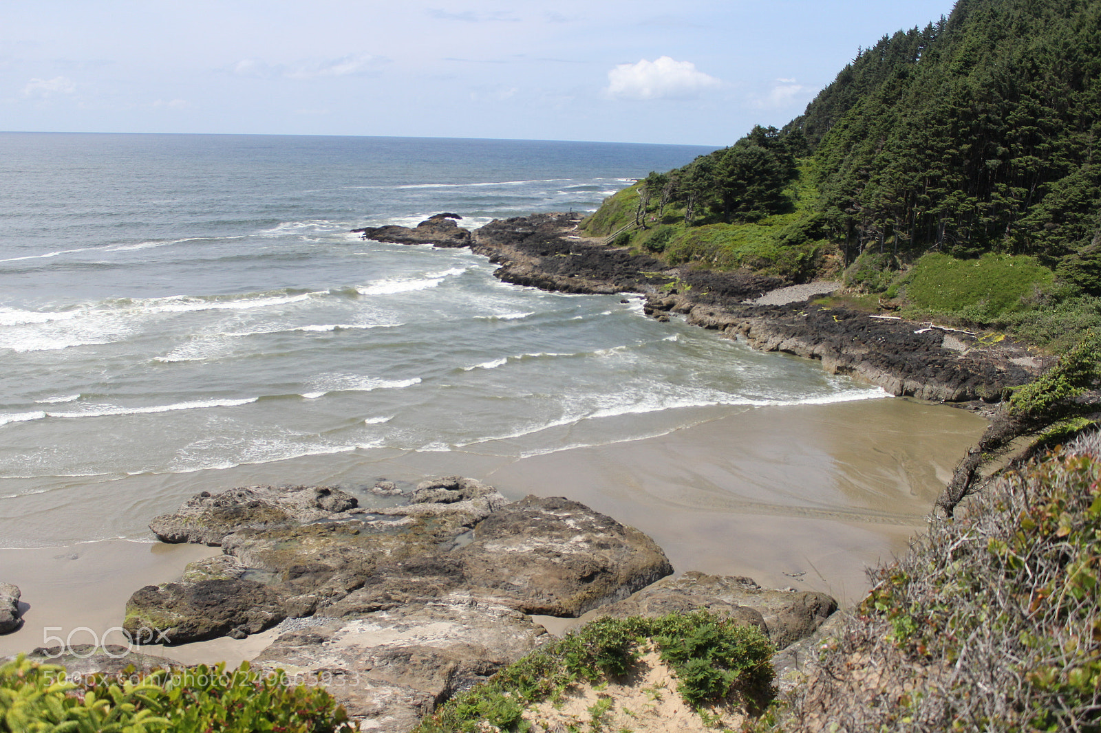 Canon EOS 60D sample photo. Nature photography