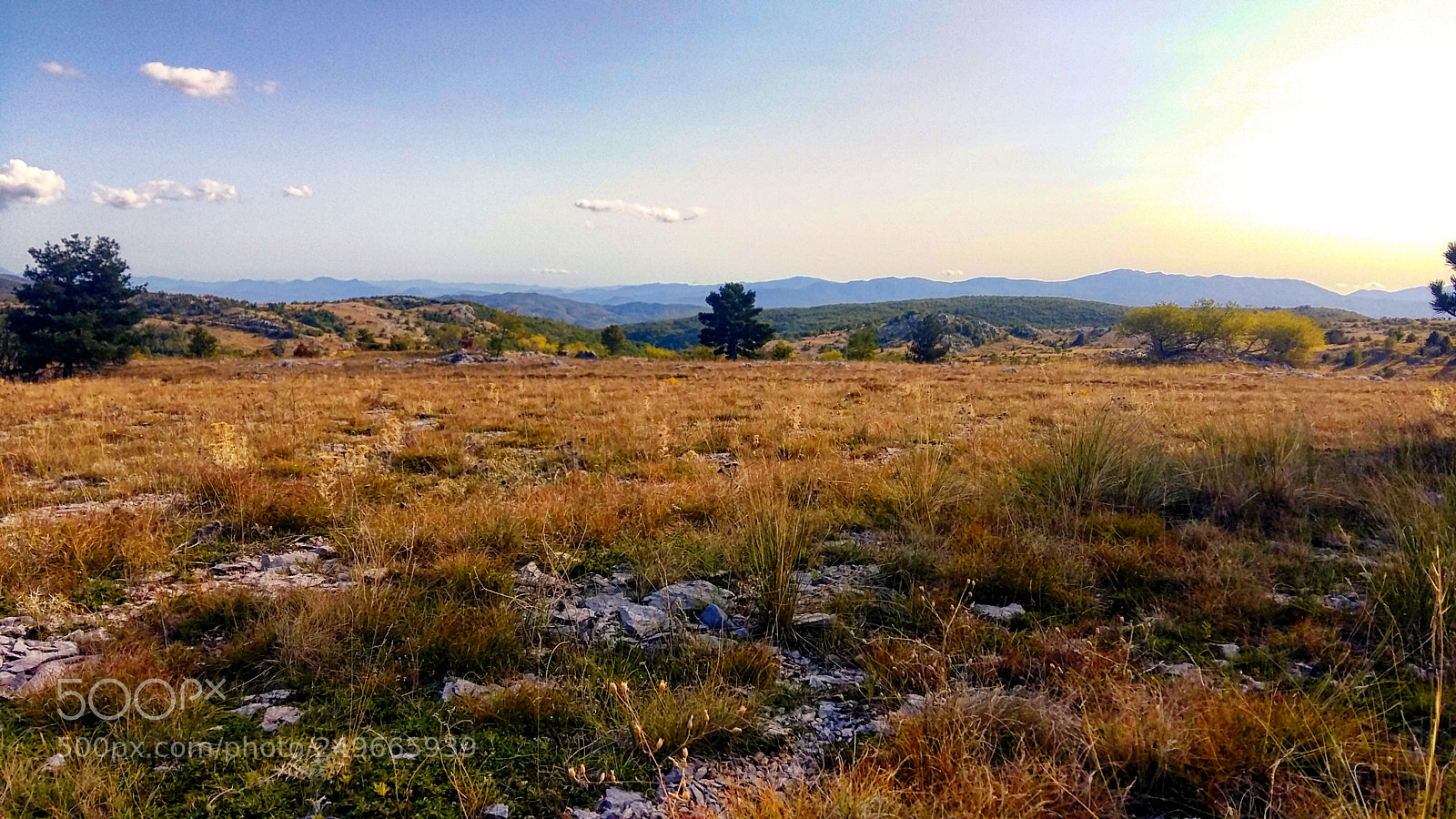 Samsung Galaxy A5 sample photo. Konjovac photography