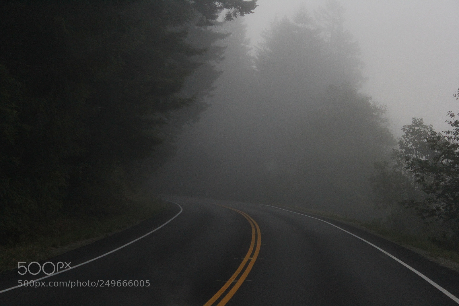 Canon EOS 60D sample photo. Nature photography