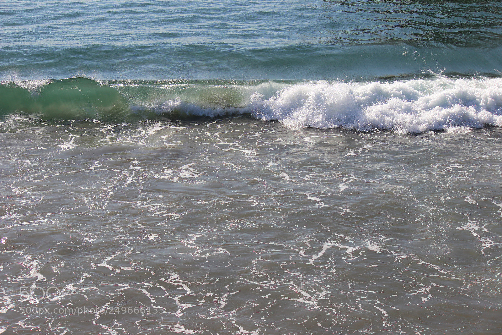 Canon EOS 600D (Rebel EOS T3i / EOS Kiss X5) sample photo. Img photography
