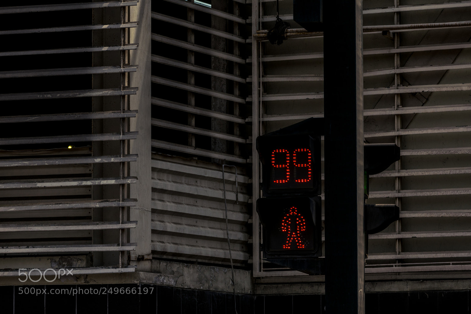 Nikon D5300 sample photo. Light red photography