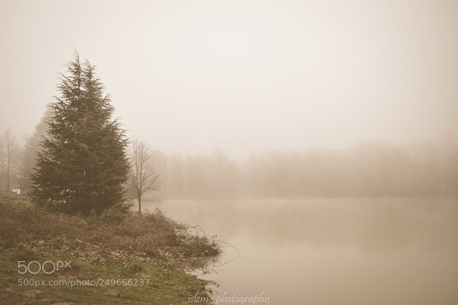 Nikon D3200 sample photo. The lake photography