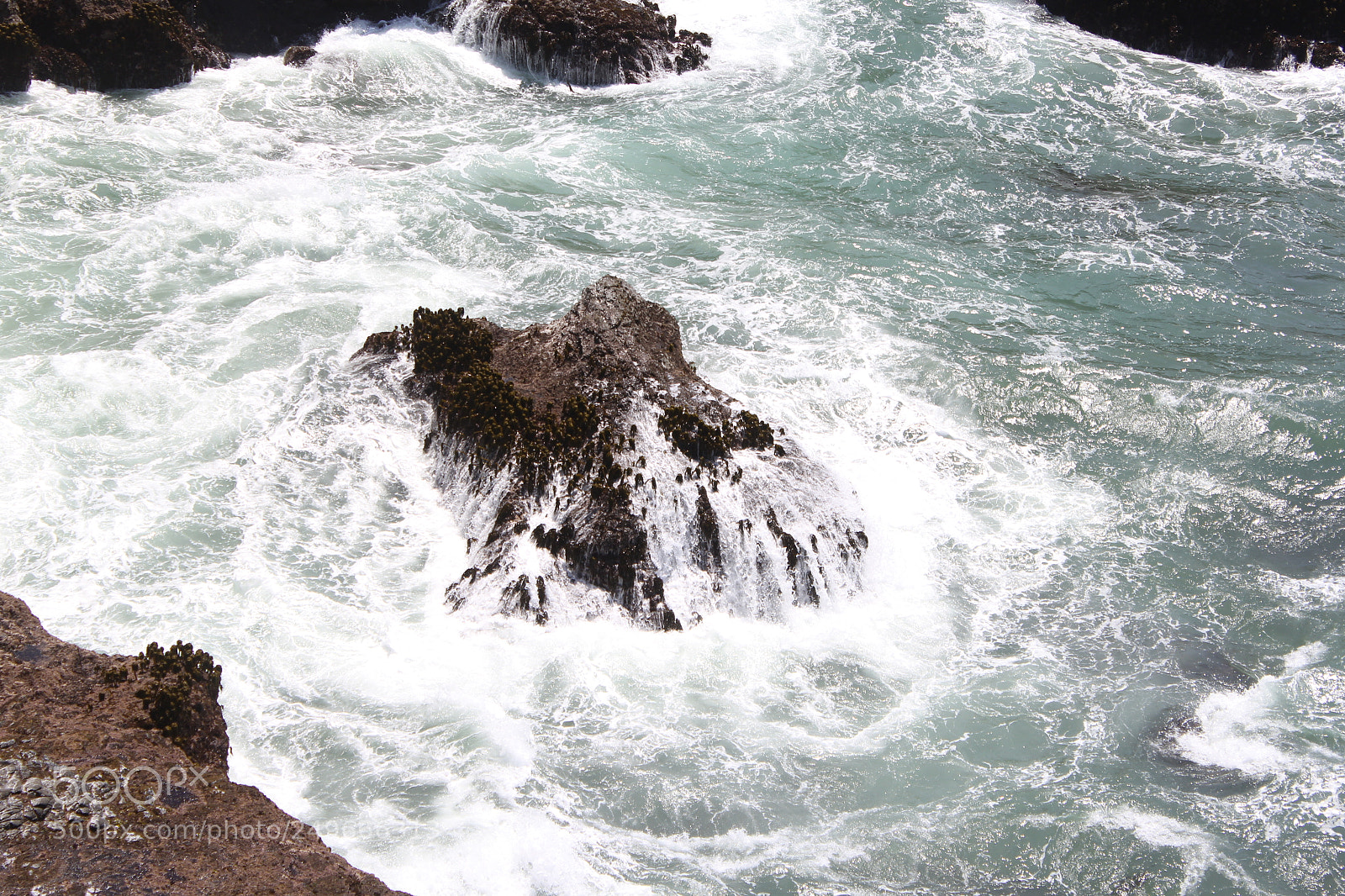 Canon EOS 60D sample photo. Nature photography