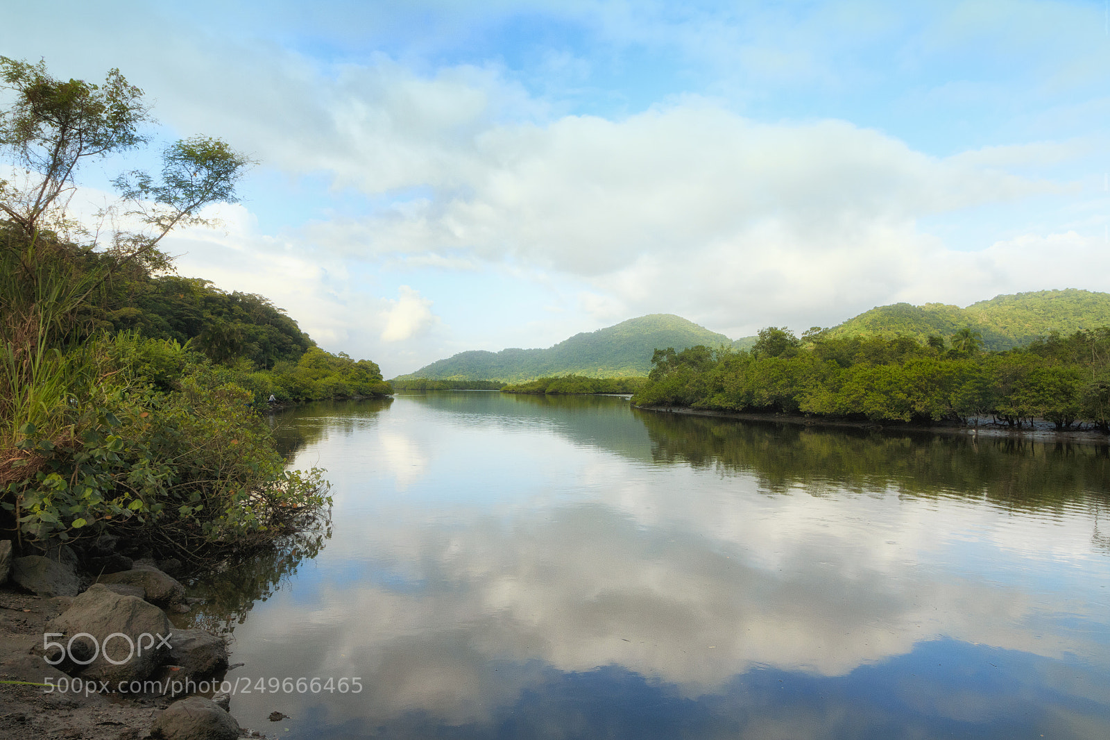 Canon EOS 70D sample photo. Jurubatuba river in bertioga photography