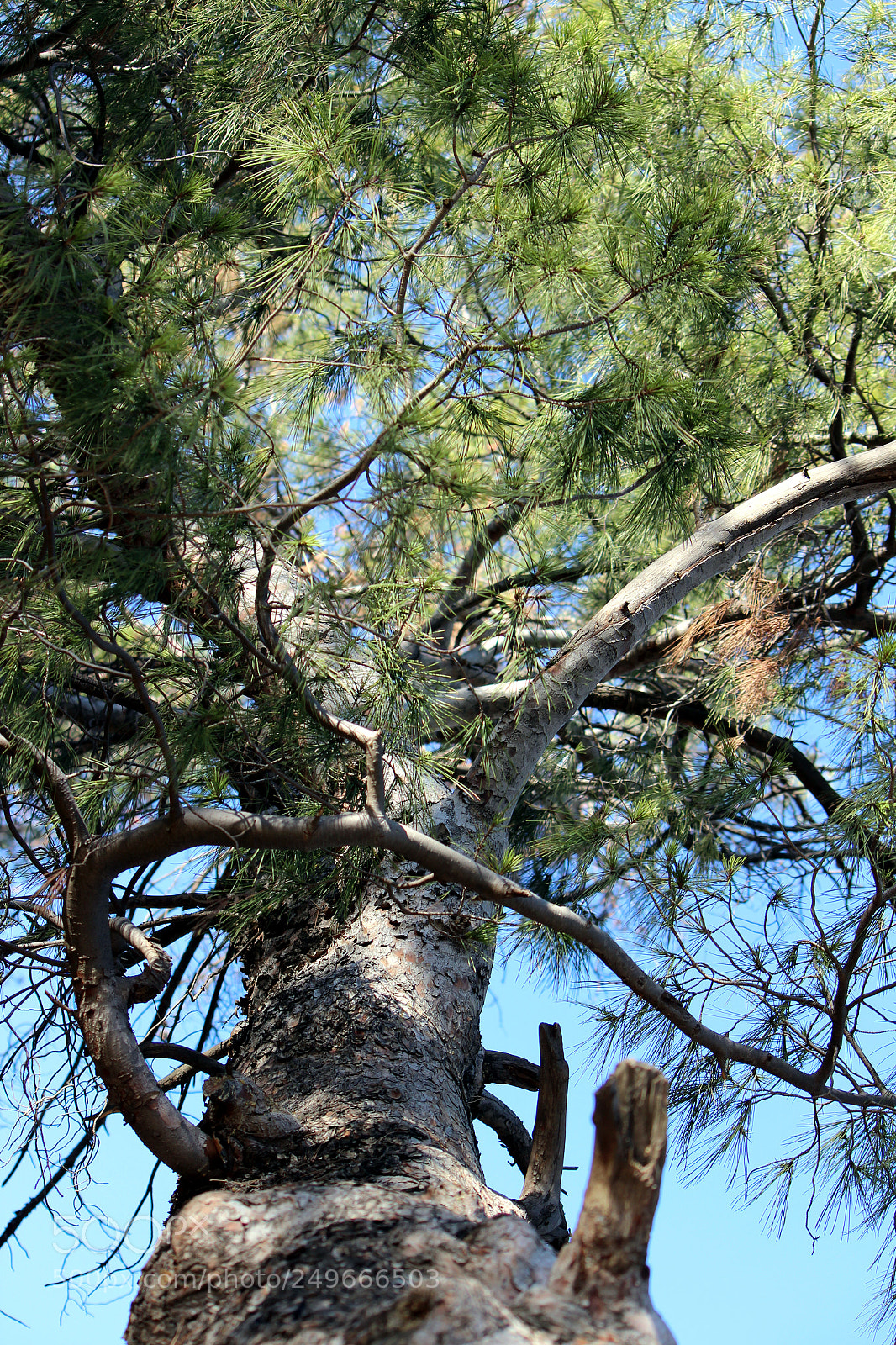Canon EOS 600D (Rebel EOS T3i / EOS Kiss X5) sample photo. Img photography