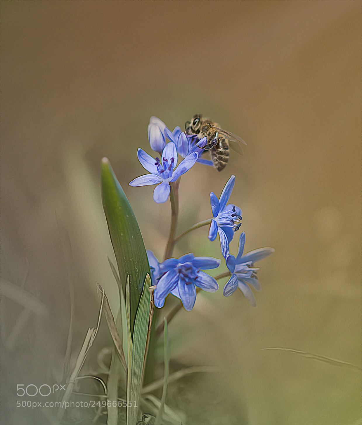 Nikon D800 sample photo. ++worker bee++ photography