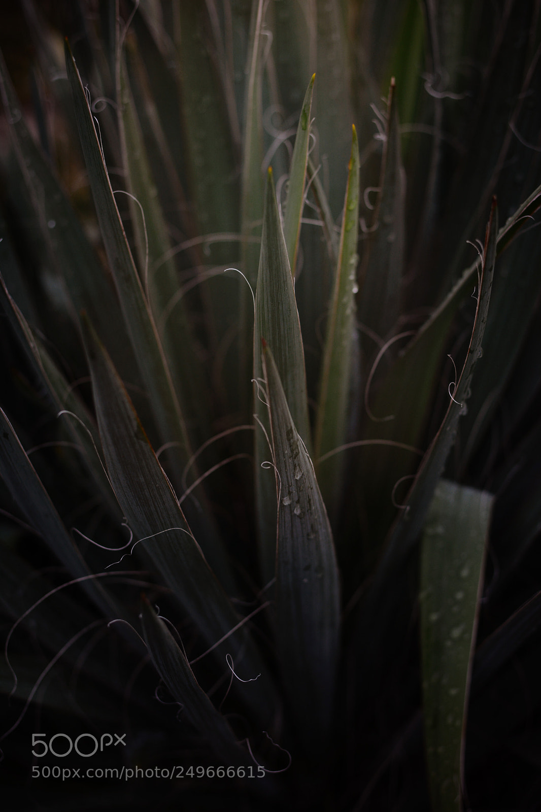 Nikon D7100 sample photo. Lines photography