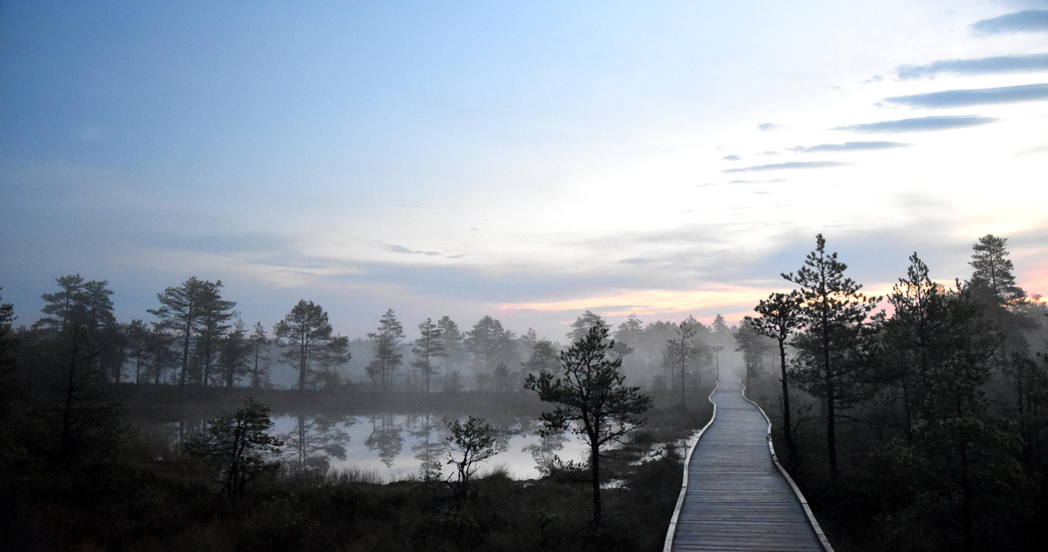 Nikon D5500 + Sigma 17-70mm F2.8-4 DC Macro OS HSM sample photo. Bog sunrise photography