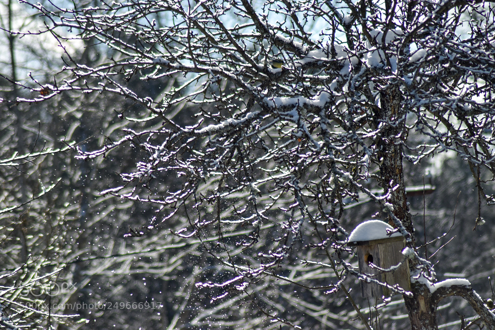 Nikon D5500 sample photo. Untitled photography