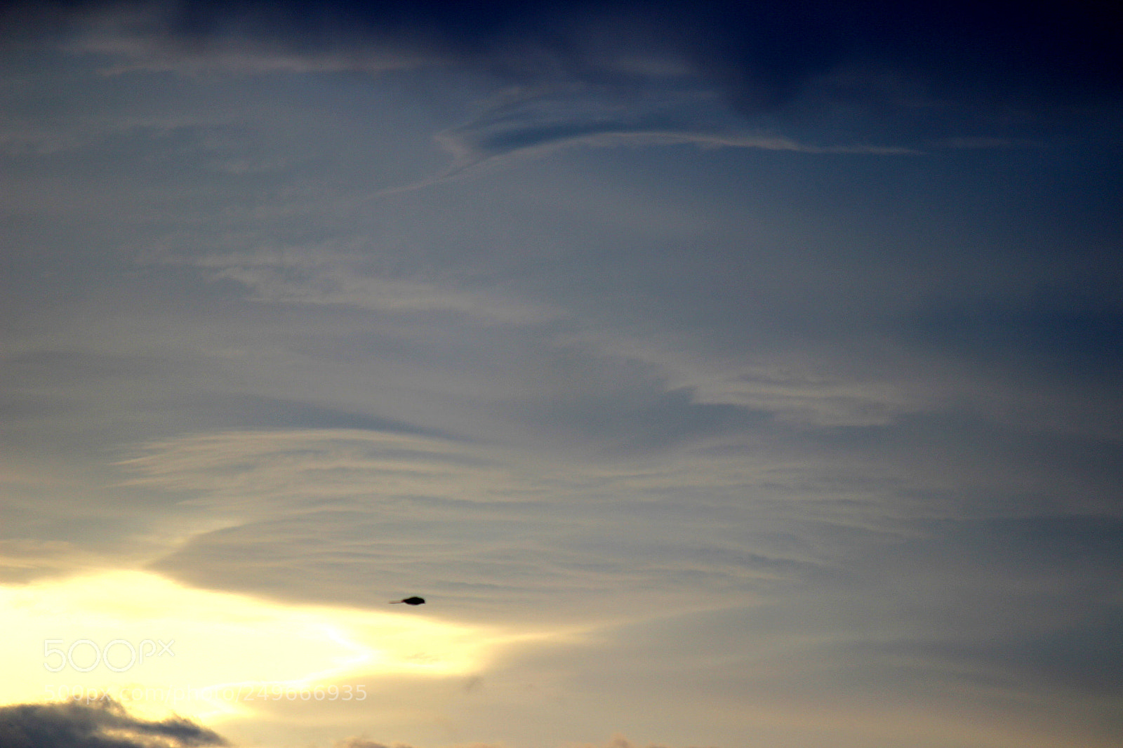 Canon EOS 600D (Rebel EOS T3i / EOS Kiss X5) sample photo. Img photography