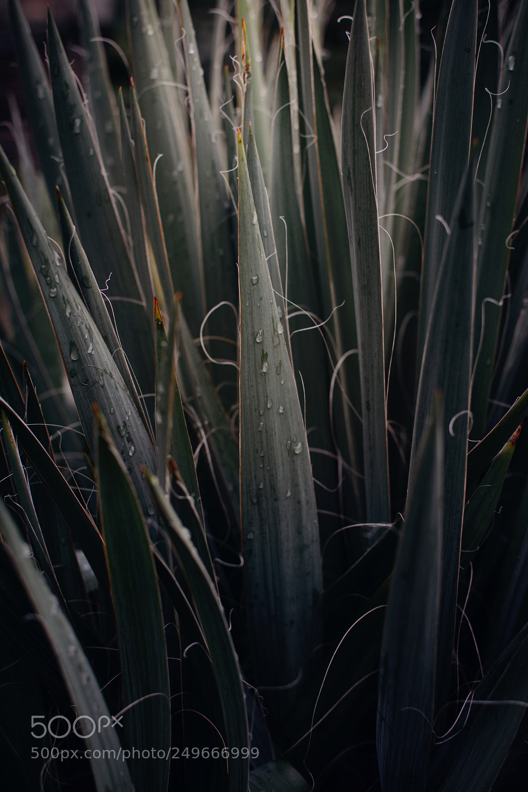 Nikon D7100 sample photo. Lines #2 photography