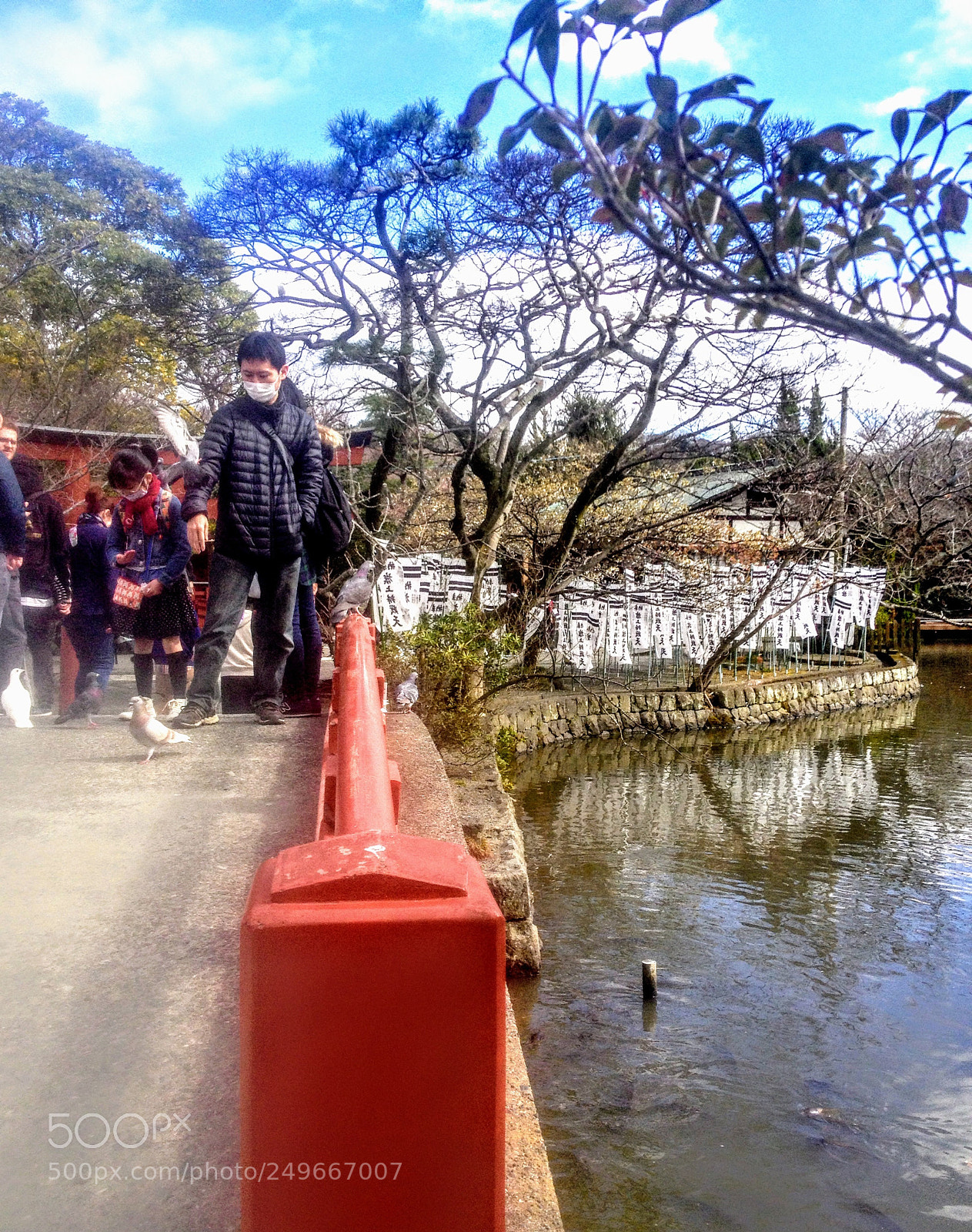 Apple iPhone 4S sample photo. Untitled photography