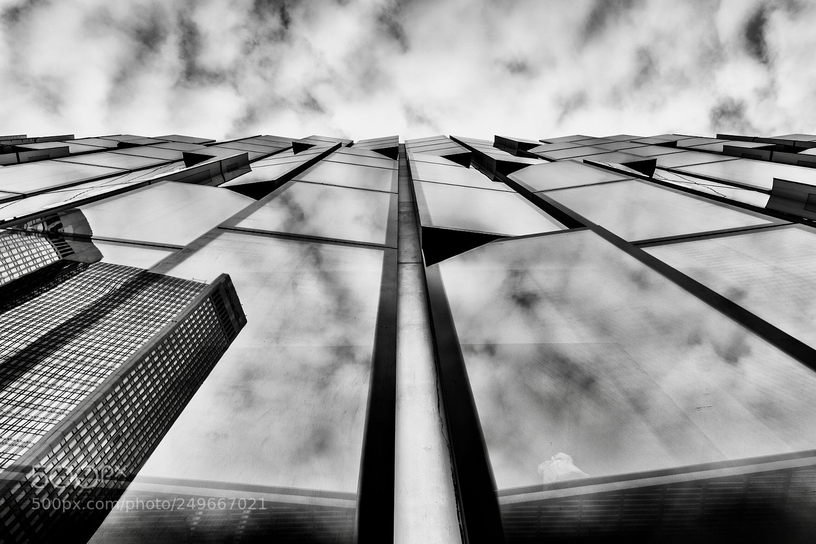 Nikon D810 sample photo. Into the sky photography