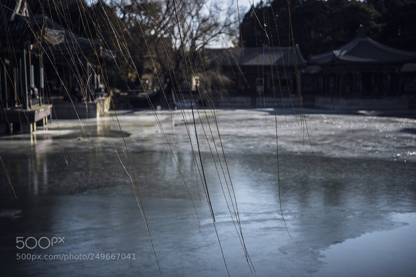 Nikon D800 sample photo. 18-02-19_06.jpg photography