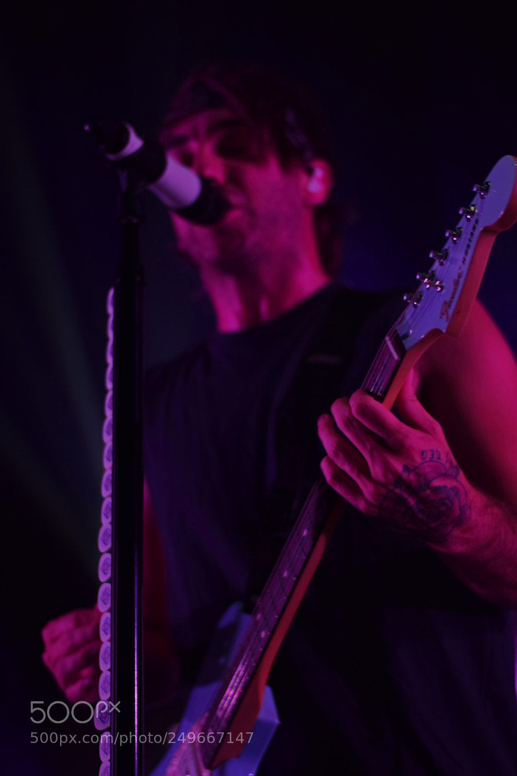 Nikon D3300 sample photo. All time low photography