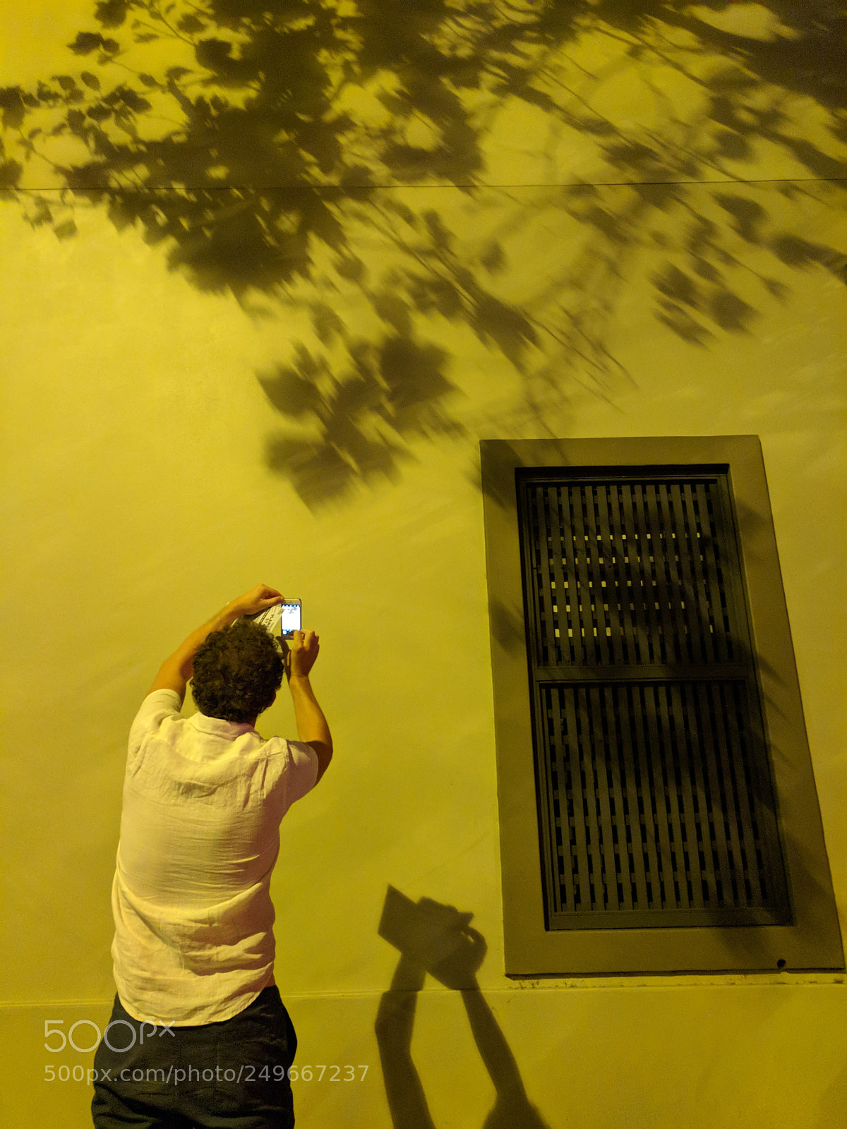 Google Pixel sample photo. Fotodelartista.jpg photography