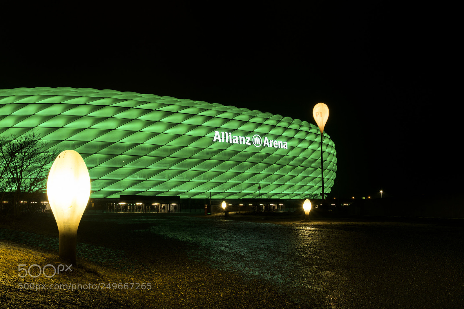 Nikon D800E sample photo. Allianz arena greening photography