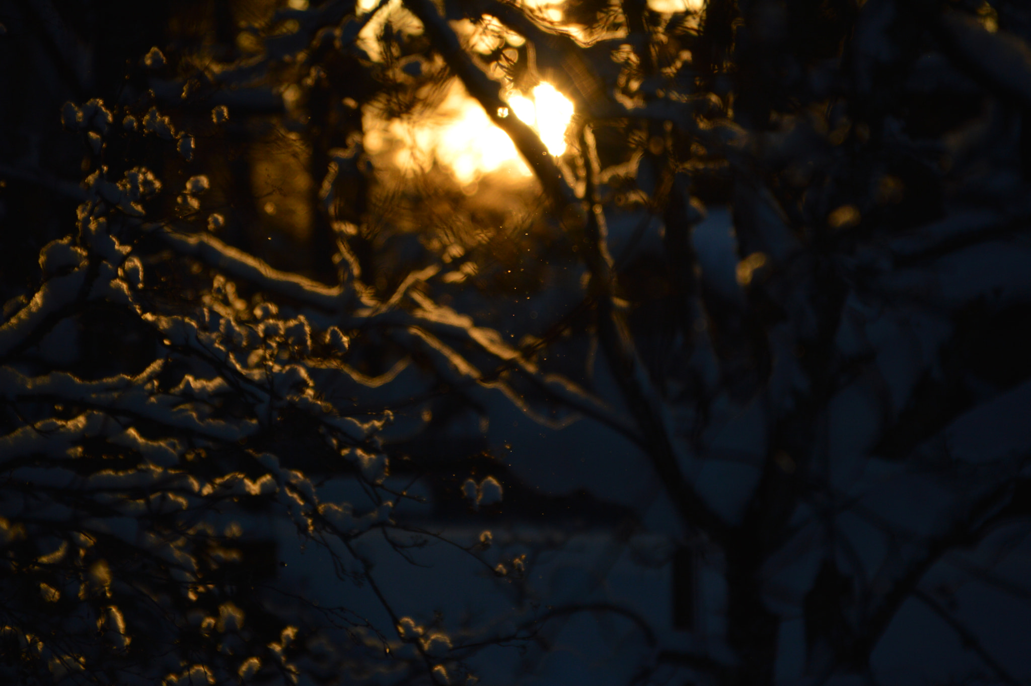 Sigma 18-250mm F3.5-6.3 DC Macro OS HSM sample photo