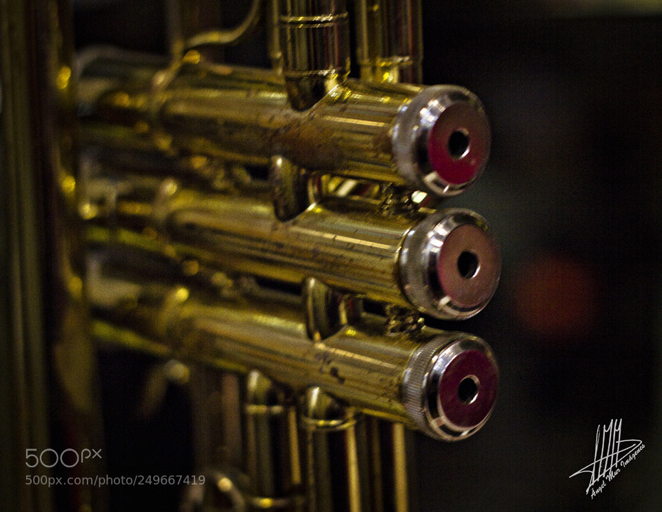 Canon EOS 600D (Rebel EOS T3i / EOS Kiss X5) sample photo. Trompeta / trumpet photography