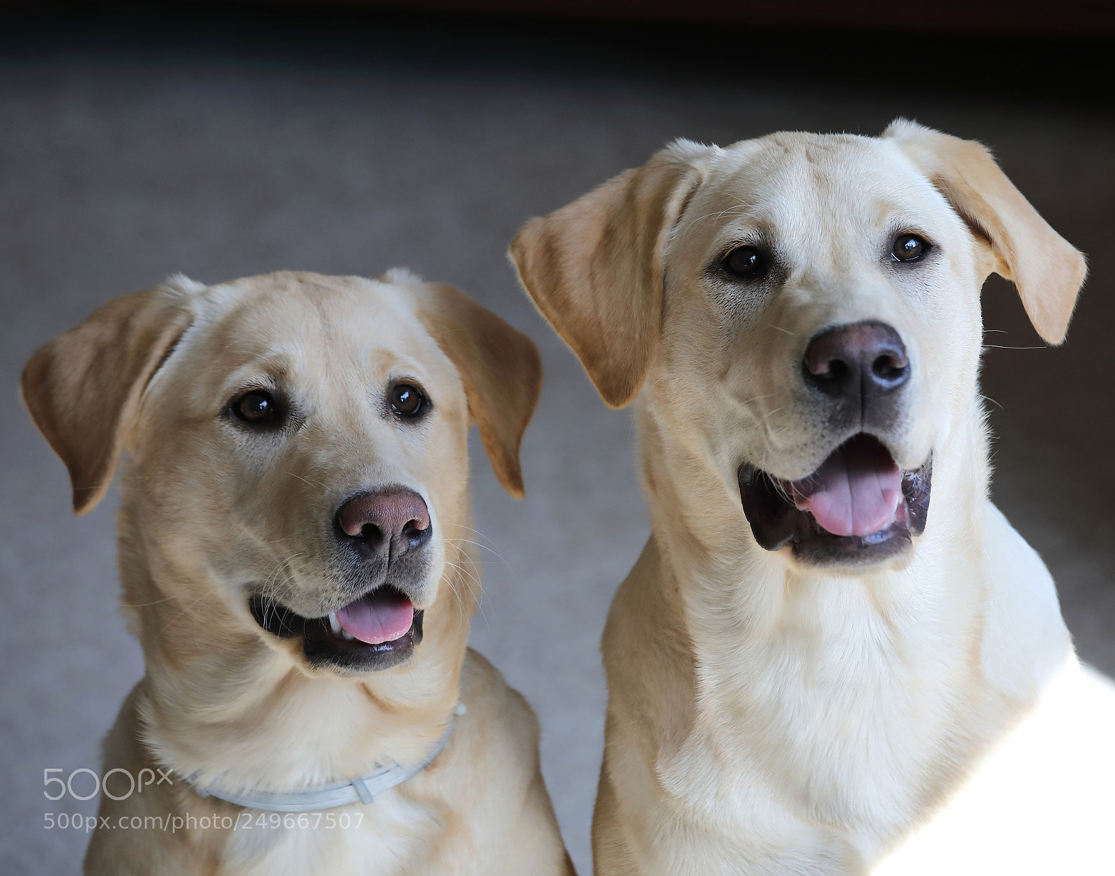 Canon EOS 5D Mark IV sample photo. Me and my sister photography