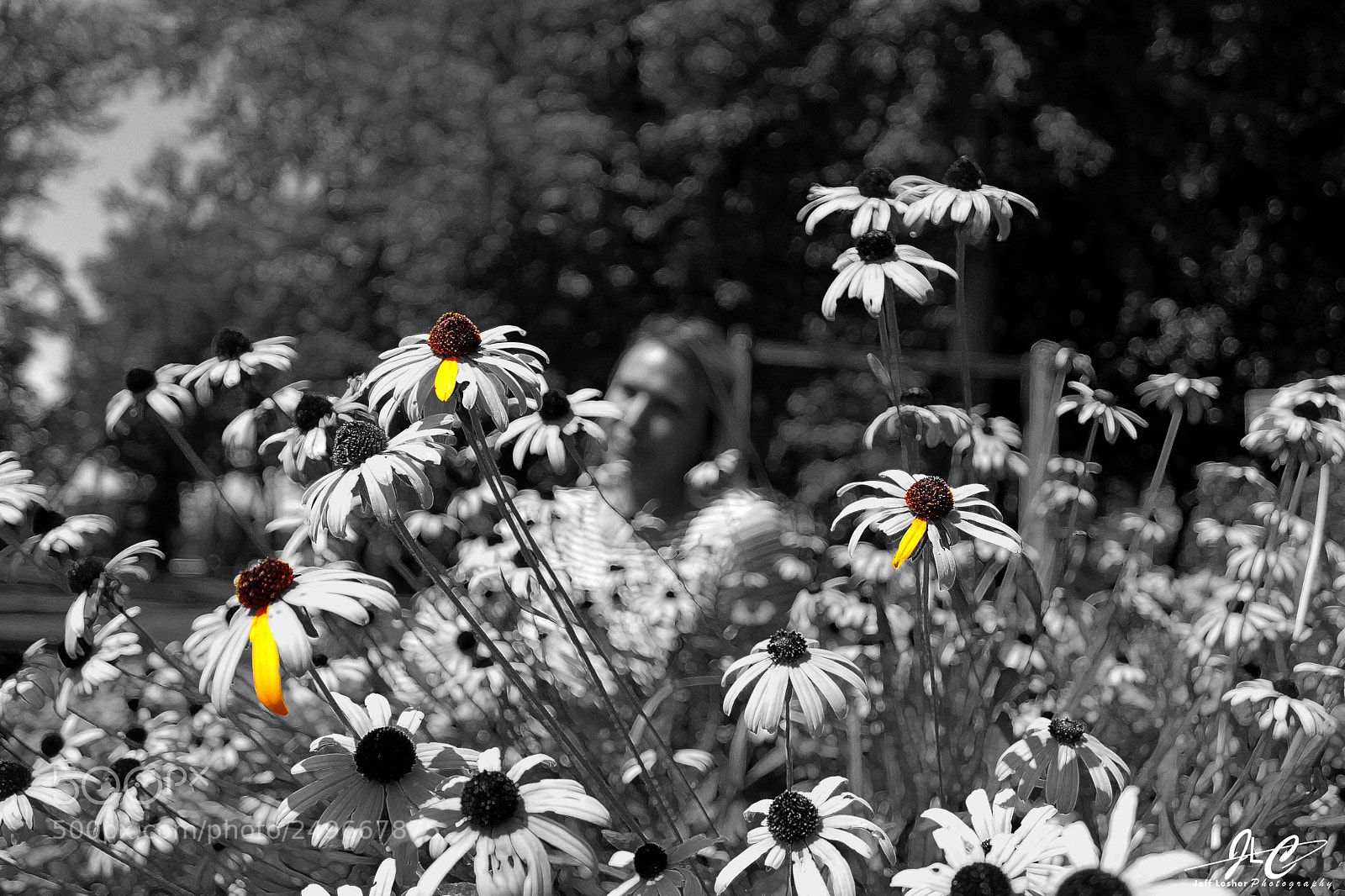 Canon EOS 1300D (EOS Rebel T6 / EOS Kiss X80) sample photo. Missing spring photography