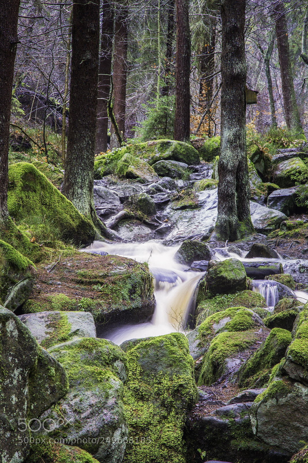 Canon EOS 7D sample photo. Wyming brook photography